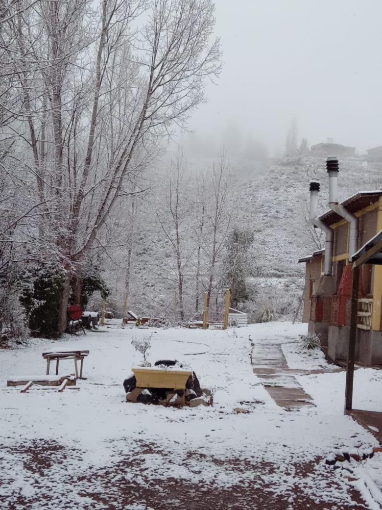 Nuestras Raices Potrerillos